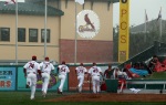 Cardinals Spring Training